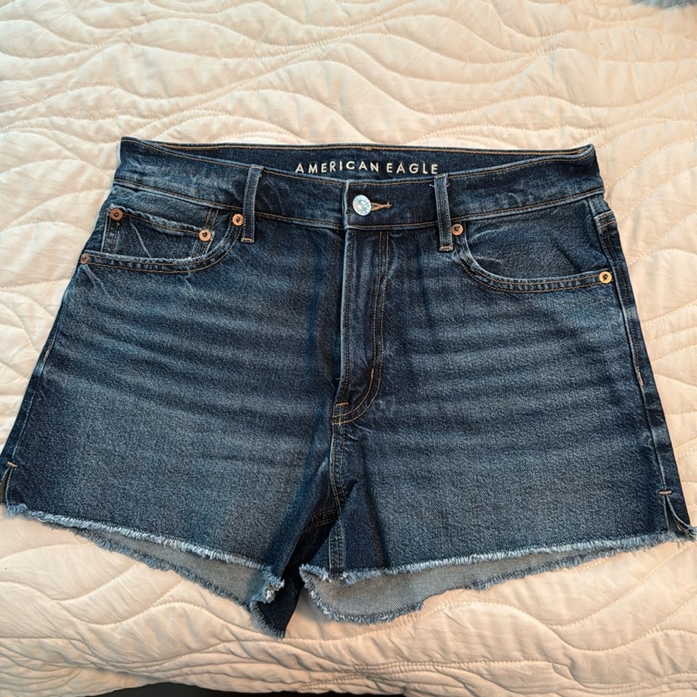 American Eagle Relaxed Shorts Size 6